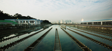 兩會(huì)聲音：城市“新洼地”之痛 如何補(bǔ)齊城市地下管網(wǎng)短板？