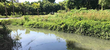 沿用城市思維？農(nóng)村黑臭水體治理“行不通”！