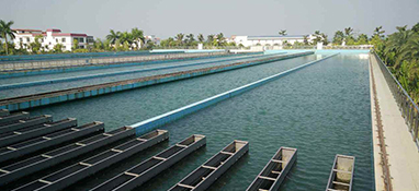 近10年 我國有哪些水廠實現(xiàn)了“智慧化”？